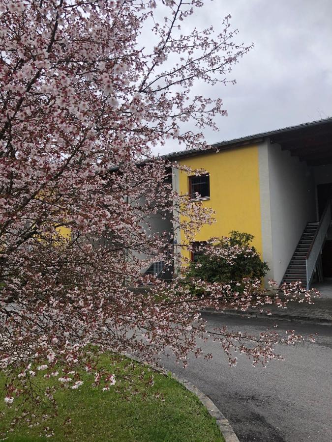 Apartment Doky Lipno